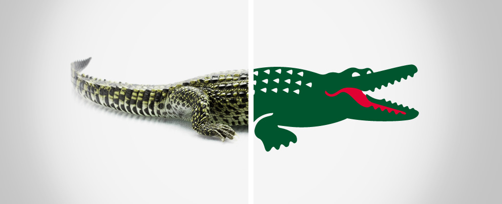 lacoste logo animal